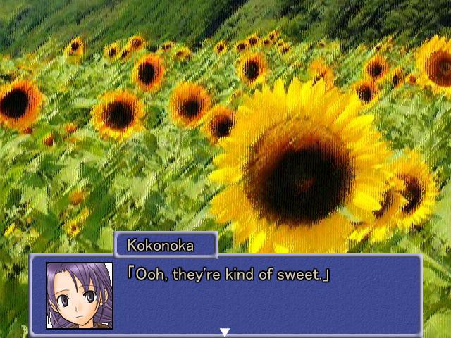 여름, 매미, 소녀