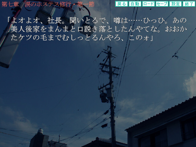 ～미망인～ 육노예