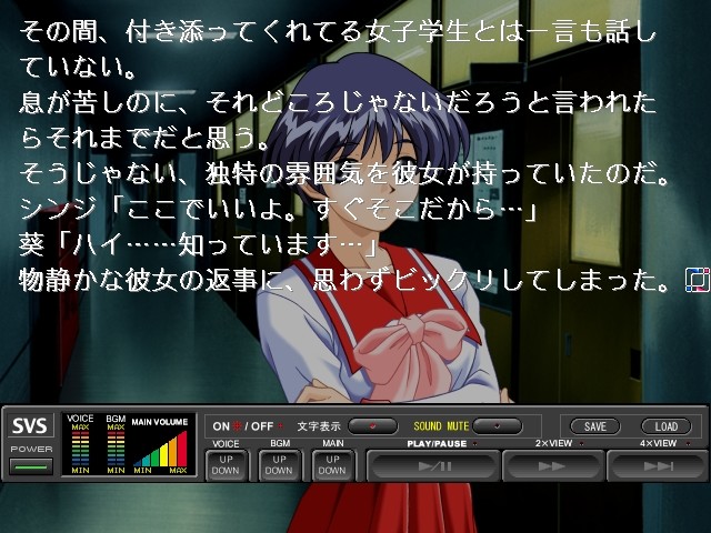 타락～금단의 사운드 노벨～