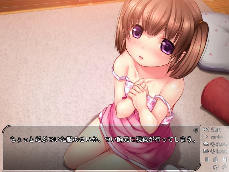 포코포코 여동생～견(犬)동생 펫 소망～