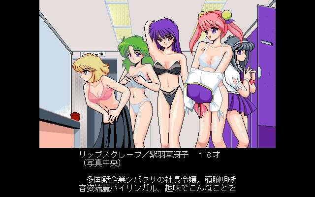 국립기동전대 RIPS V