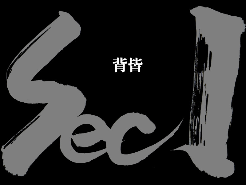 단채기겁-sec life, monochrome cube-