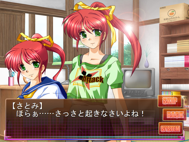 필살! 사토미 어택!