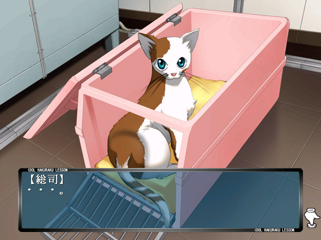 아이돌 박락 LESSON