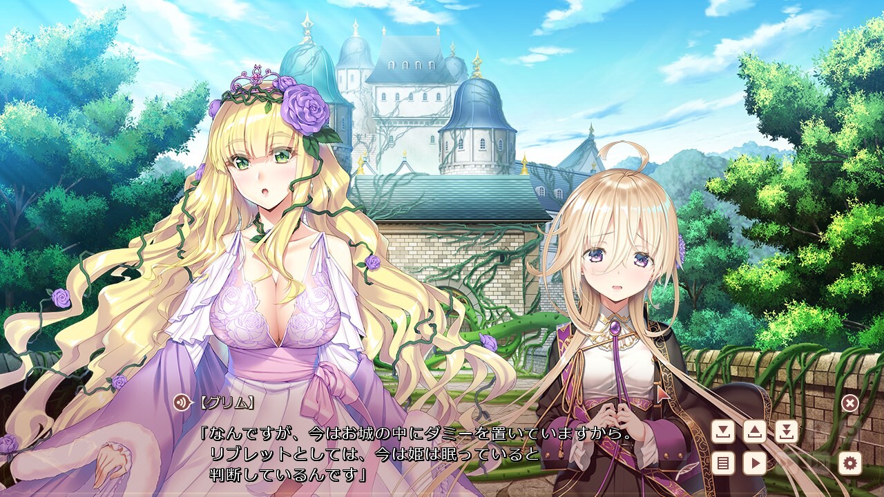 걸즈・북・메이커 ~그림과 세 명의 공주님 2~