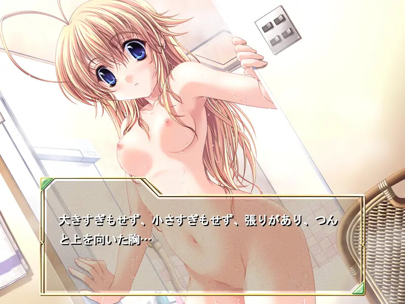 프린세스 브레이브! ～작탁의 기사～