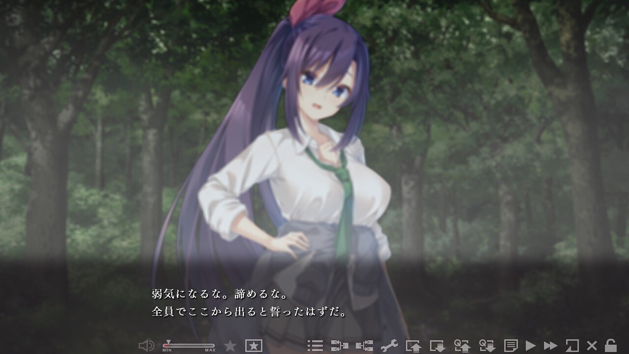 하이손 소녀 ～아야시마도이노 카고노 사토～