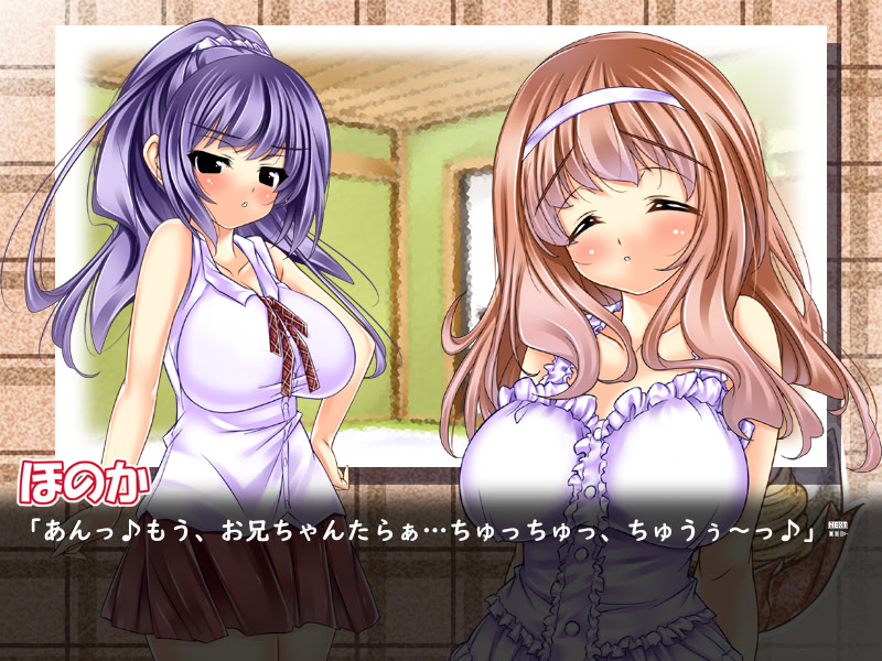 はら孕 妹's!?(しすた～ず)～あぁんっ!?お兄ちゃんのえっちぃ…でもぉ…大好きっ♪～