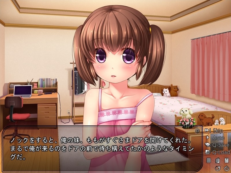 포코포코 여동생～견(犬)동생 펫 소망～