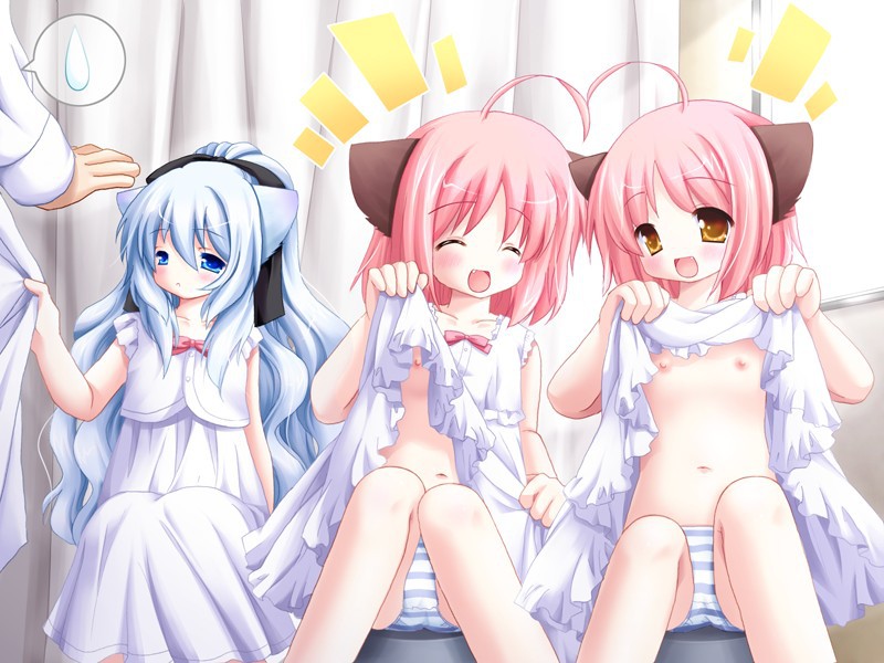 네코 귀여워! ～크레인 개고양이 병원 진료 중～