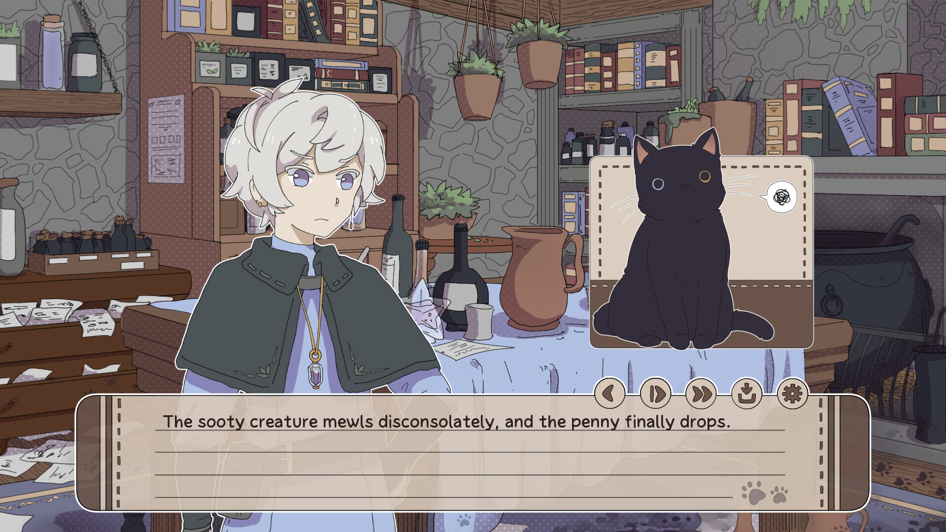 My Confounding Cat is Criminally Cute!