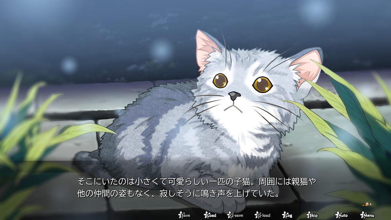 카구라 창세기 -타마키-