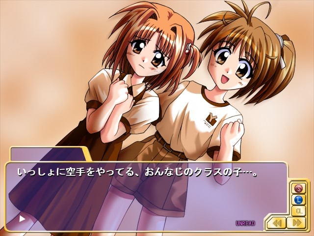 트라이앵글 하트