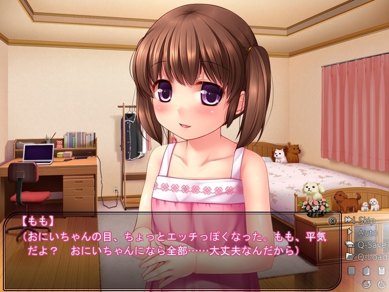 포코포코 여동생～견(犬)동생 펫 소망～