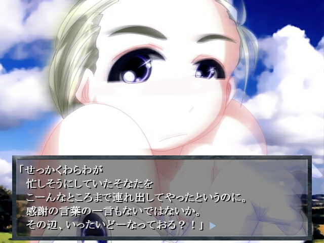 엘리주니르의 기사