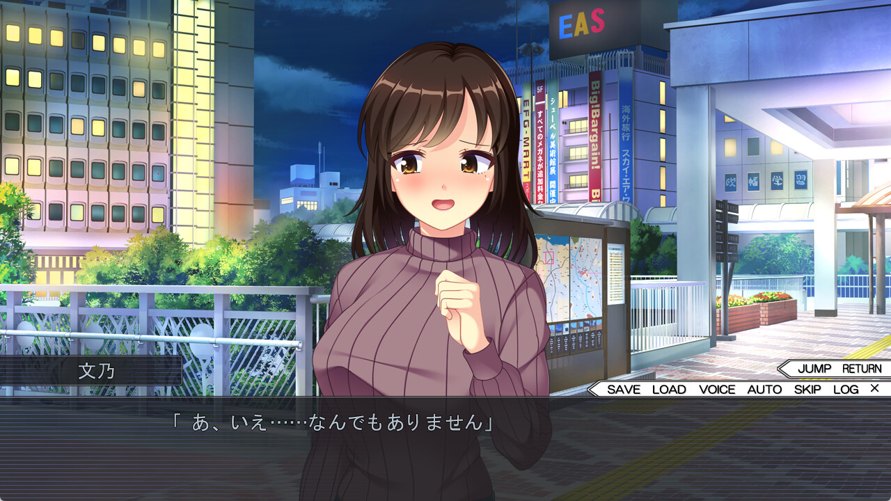 매칭 결혼 ~앱에서 찾는 최고의 신부~