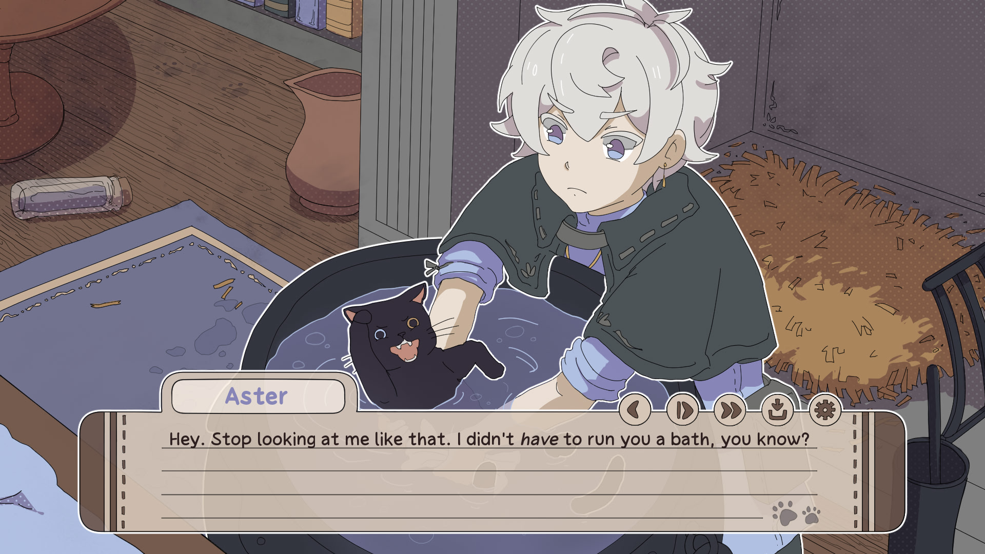 My Confounding Cat is Criminally Cute!