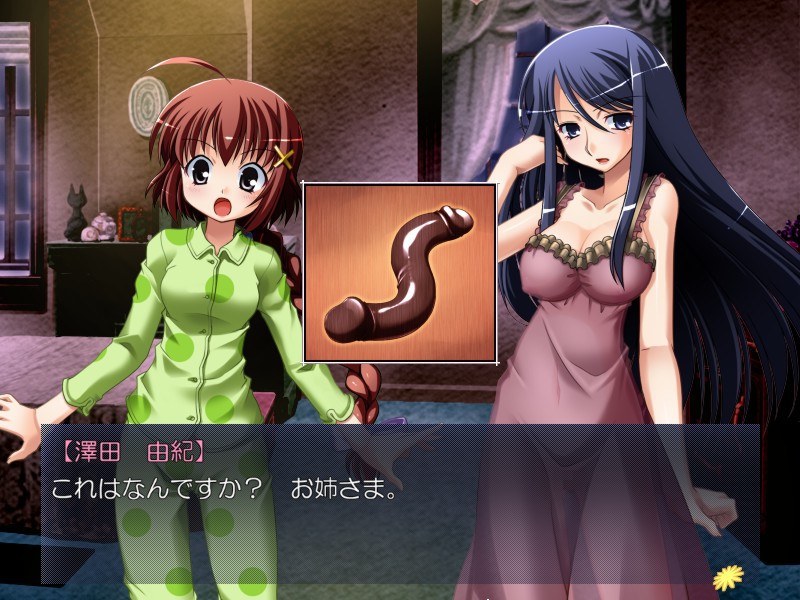 소녀들의 자매 영역 ～언니에게 장난감 취급당하고 싶은 사와다 유키의 비밀～