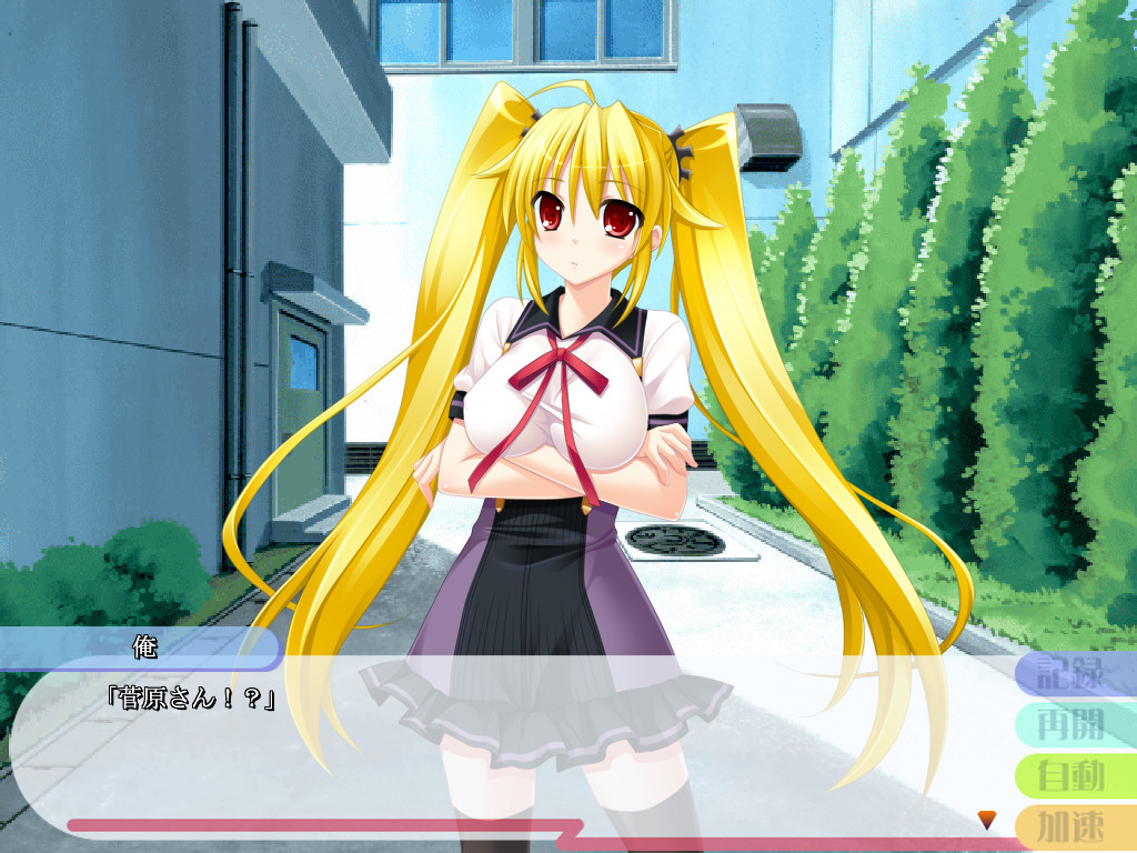 세이카츠! ～모두가 좋아해! 지극히, 에로라보!～