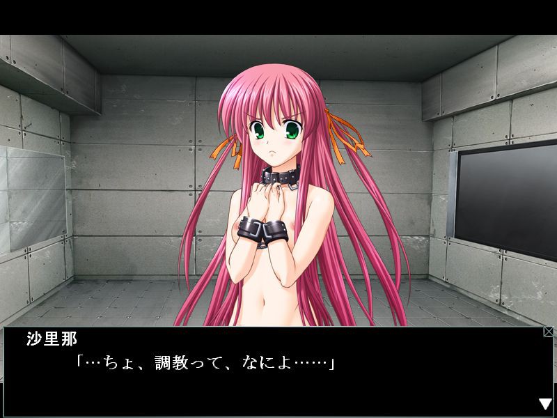 사육백서 ～사슬에 묶인 동급생～