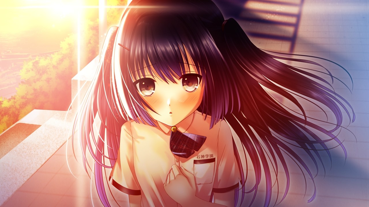 히마와리와 사랑의 기억