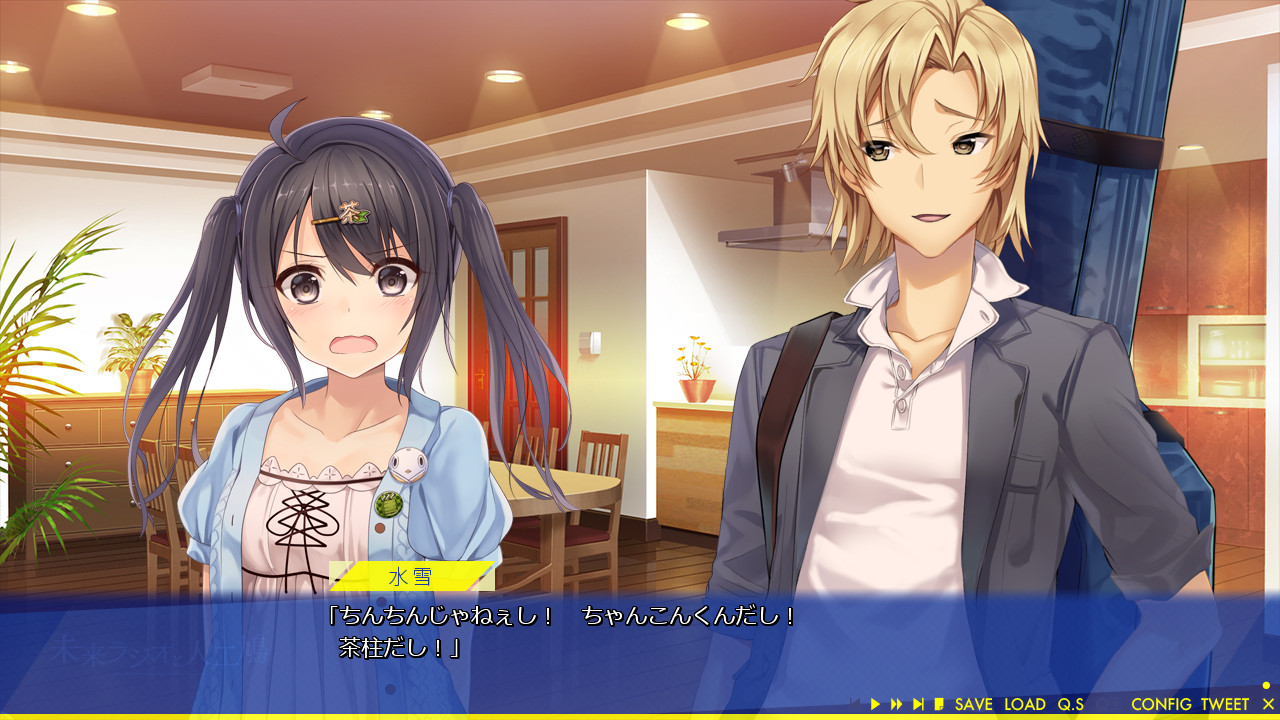 미래 라디오와 인공비둘기