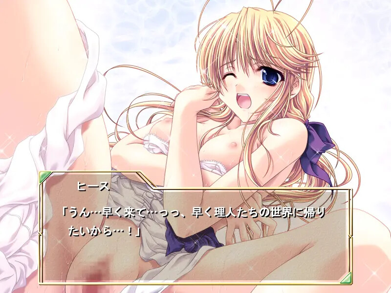 프린세스 브레이브! ～작탁의 기사～