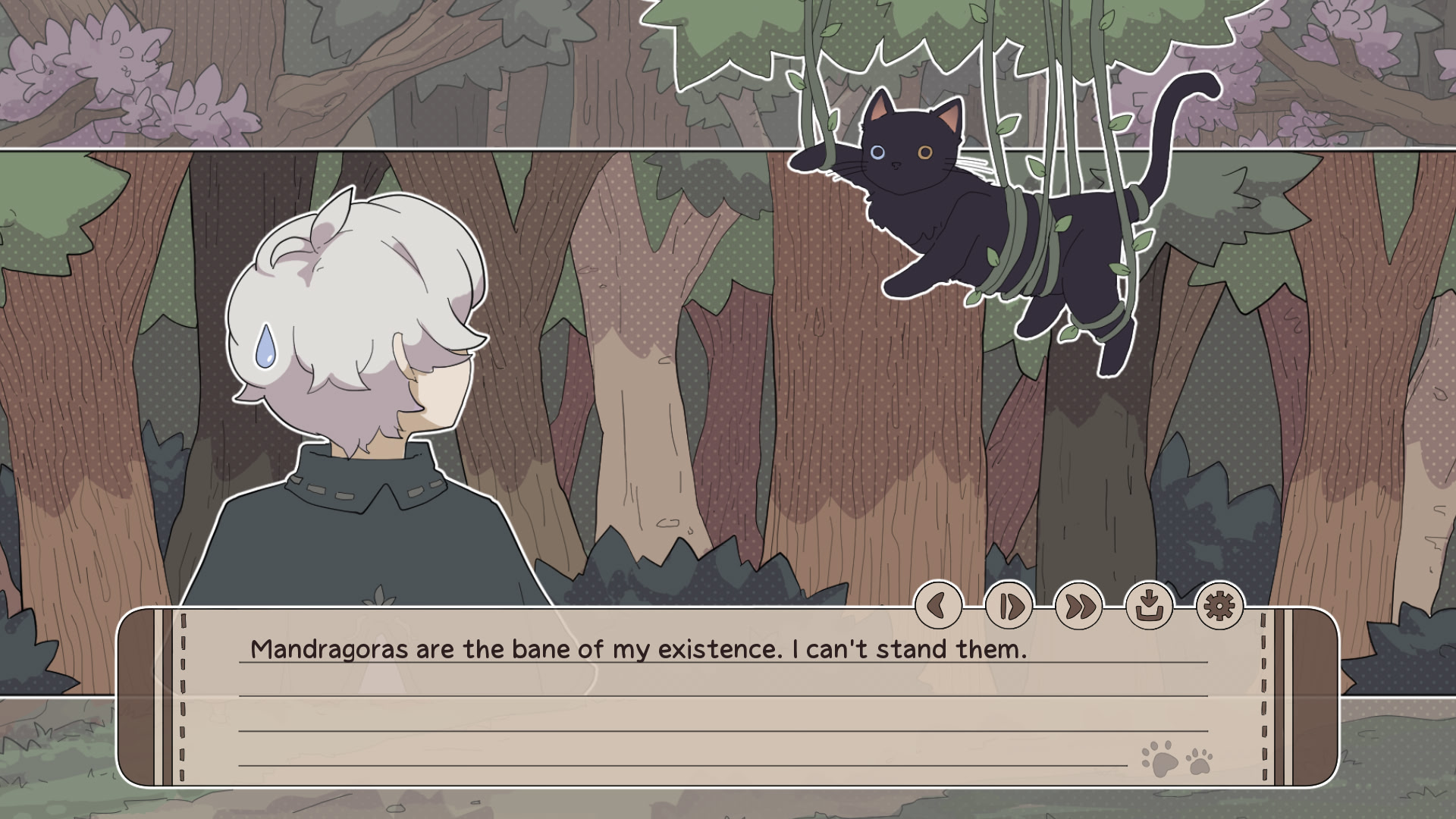 My Confounding Cat is Criminally Cute!