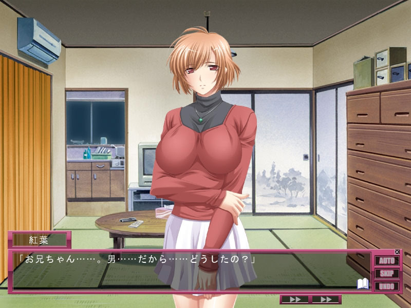 미망인 장난감 ~나의 숙모는 육욕 노예~