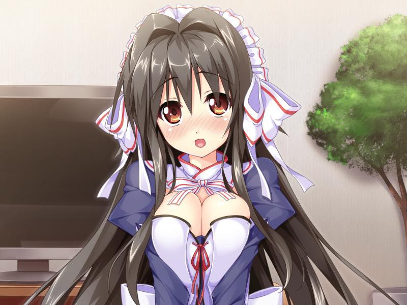 누나는 여자친구이자 전속 메이드