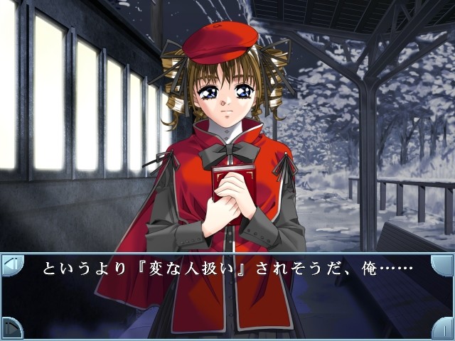 flutter of birds II 천사들의 날개