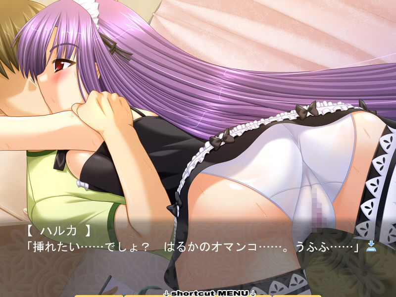 헨신 그녀 ~하루카가 ○○로 갈아입으면~