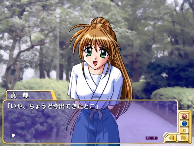 트라이앵글 하트