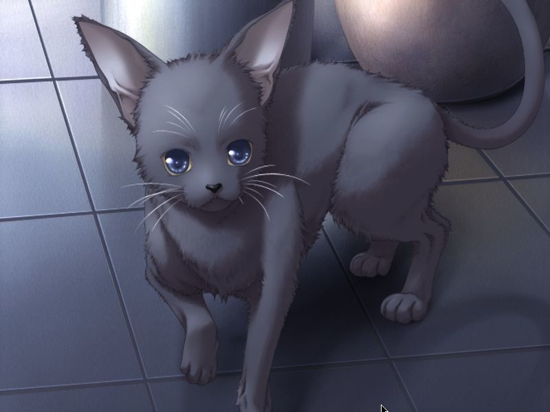 L’Heure Bleue～루르 블루～