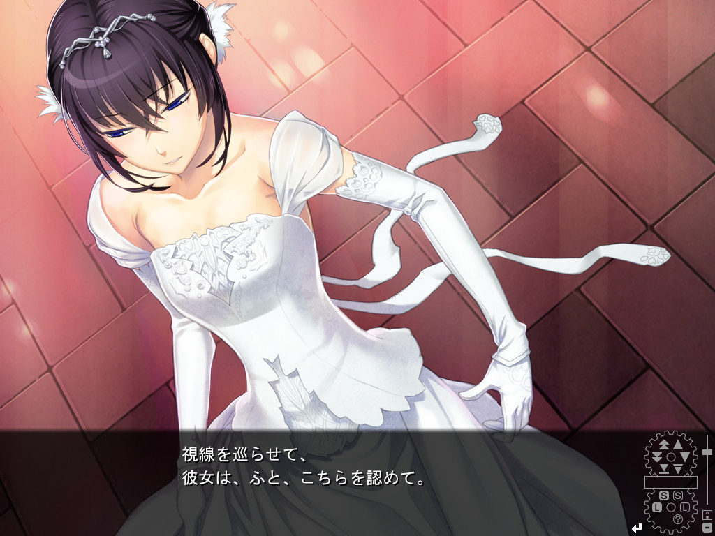 황뢰의 가쿠툰: 샤이닝 나이트