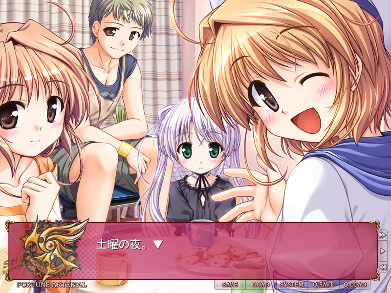 FORTUNE ARTERIAL