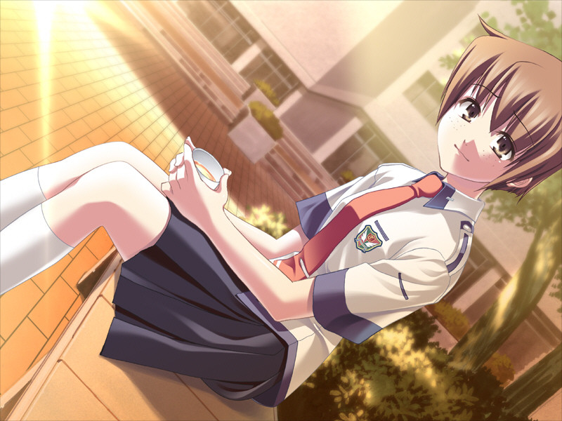 군청의 하늘을 넘어서