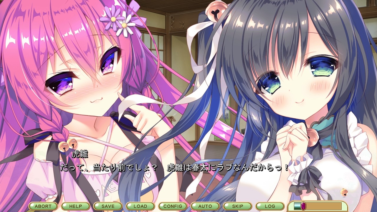 코네코네코네코