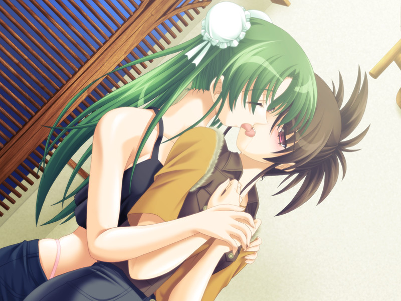 하렘★아일랜드 ～남1＜여7인 여름 이야기 테마파크는 대소동～