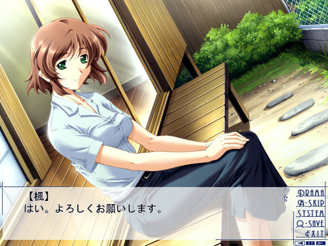 ENSEMBLE～춤추며 내려앉는 깃털의 앙상블～