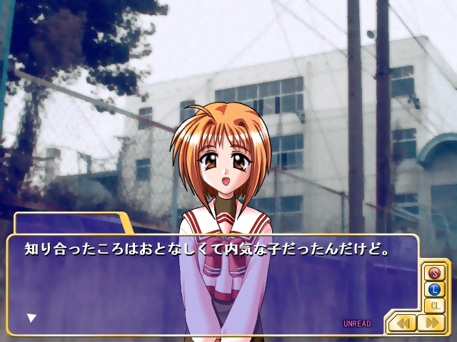 트라이앵글 하트