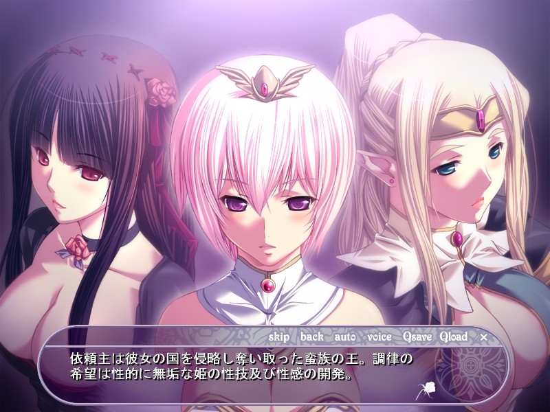 포로의 공주 ~음마의 조율~