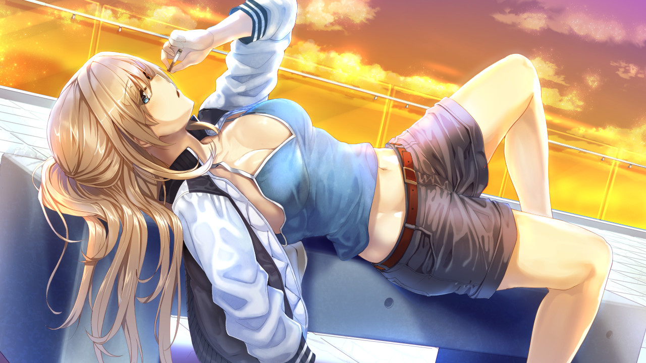 미래 라디오와 인공비둘기