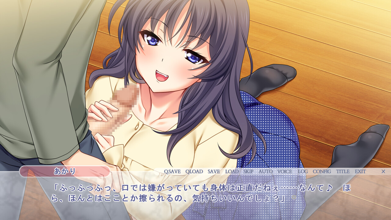 형수 섹스 ~나에게 안는 에로틱한 여동생과의 야한 생활~