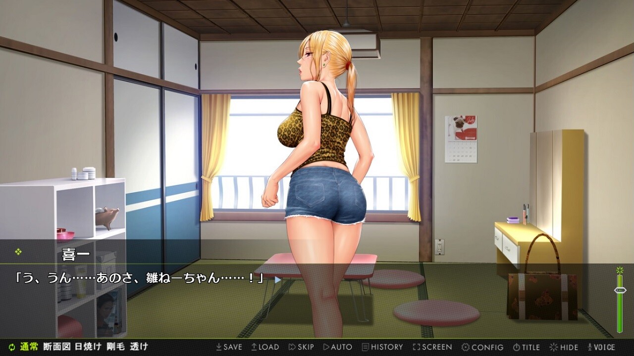 전직 양키 아내 히나코 ～심신 모두 완벽한 네토리!～