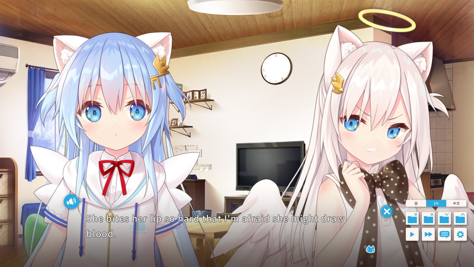 우리 집 펫 사정 Vol.1