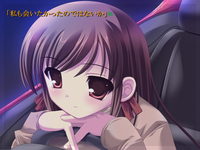 사오 애프터 ～하루모에 어뮤즈먼트 디스크～