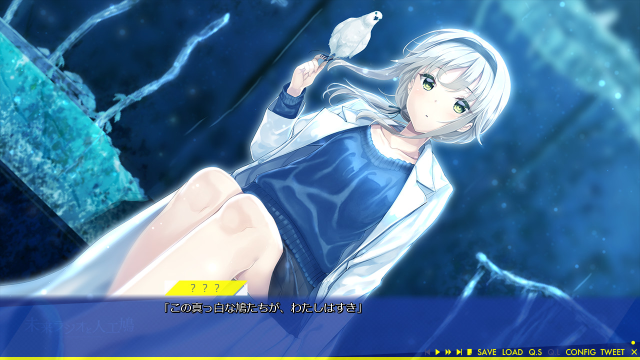 미래 라디오와 인공비둘기