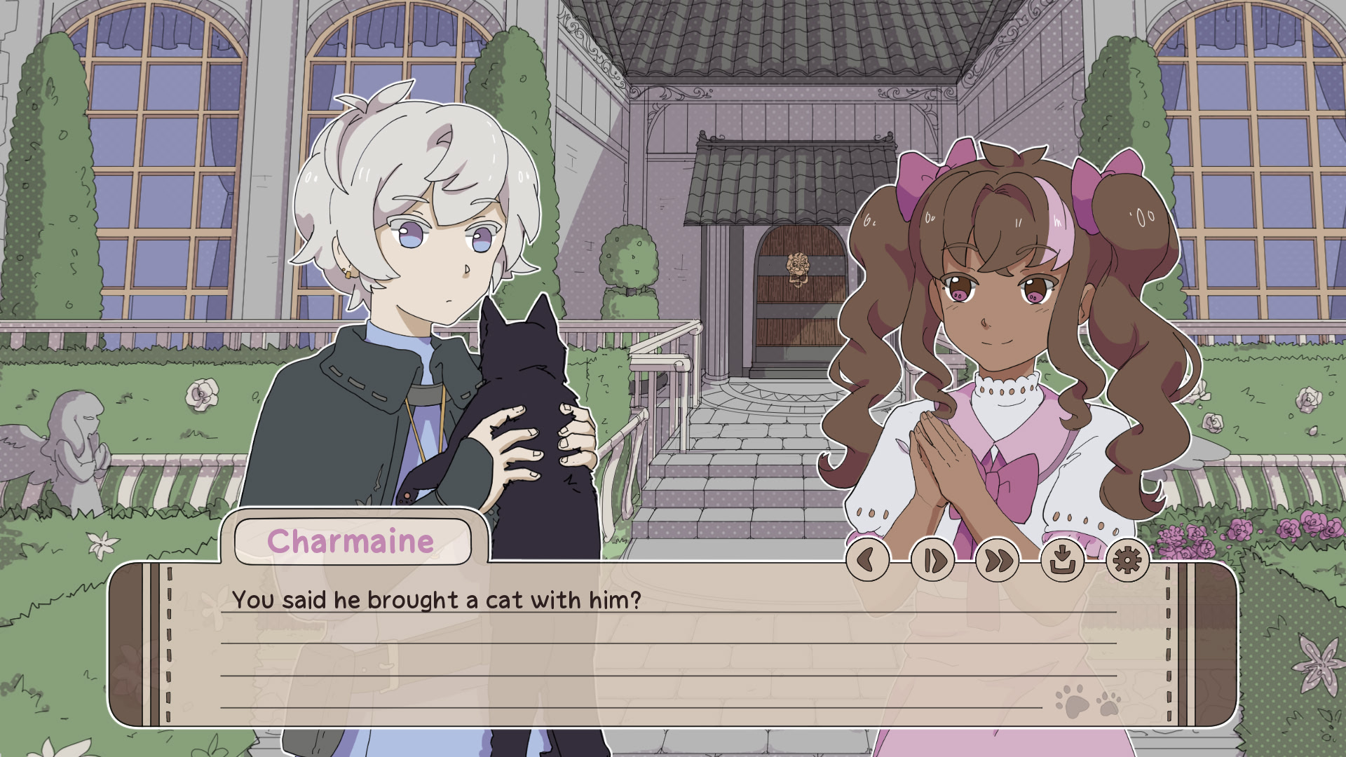 My Confounding Cat is Criminally Cute!