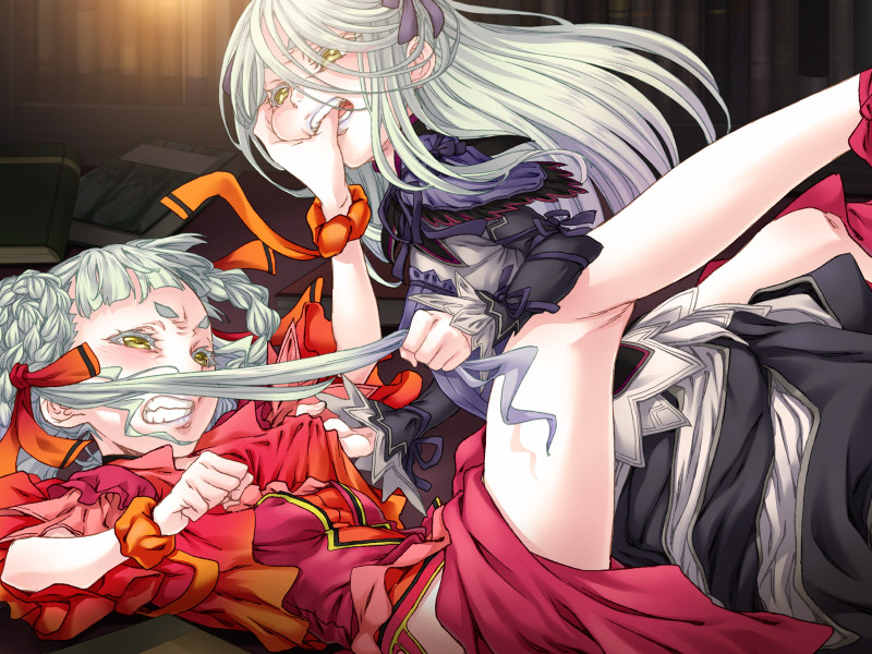 호시츠구역 연대기